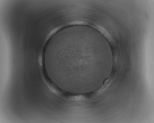 X0000116120112200911231223