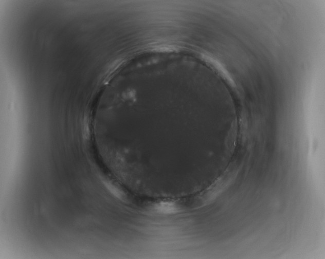 X0000116120114200911231223