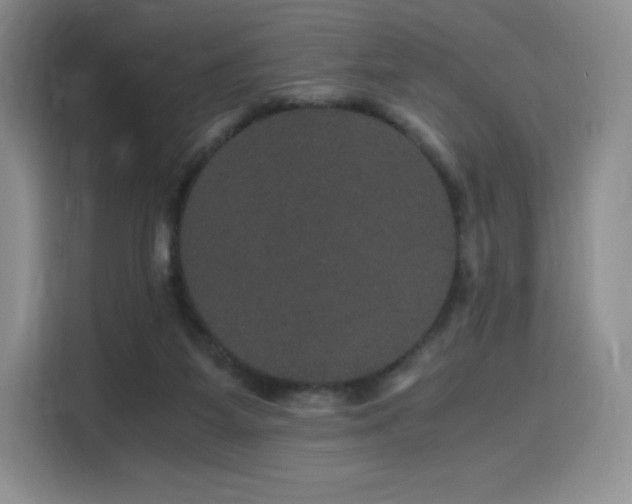 X0000116120115200911231223