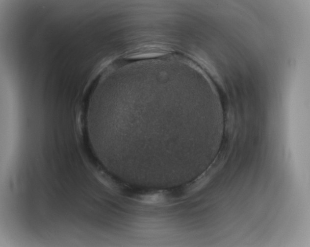 X0000116120116200911231223