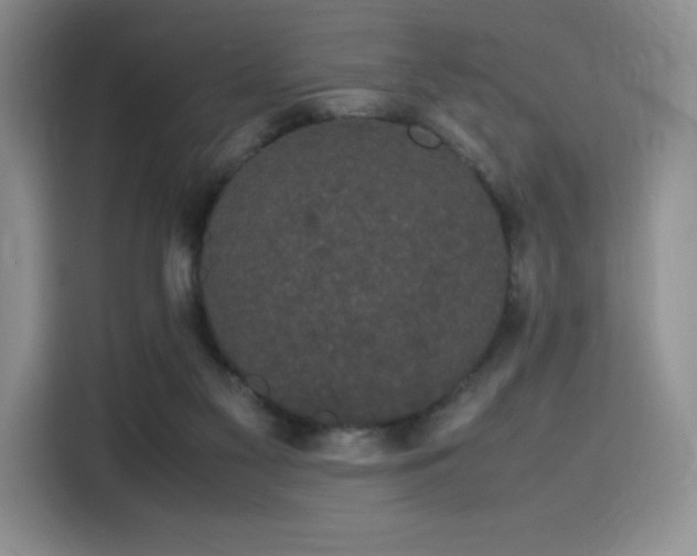 X0000116120117200911231223