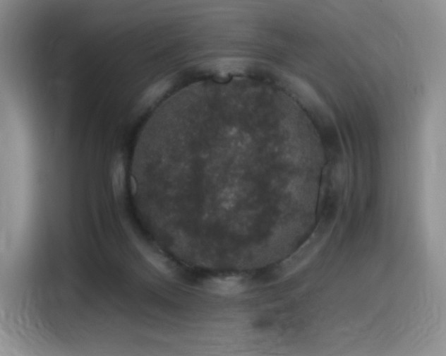 X0000116120120200911231223