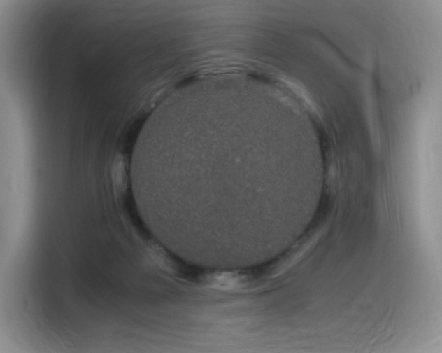 X0000116120121200911231223