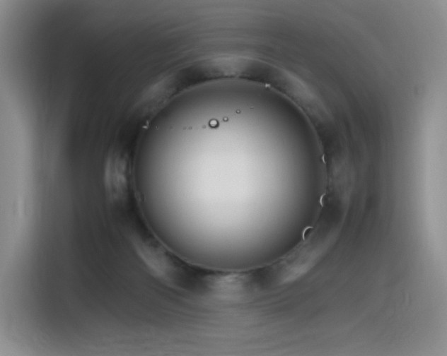 X0000116120122200911231223