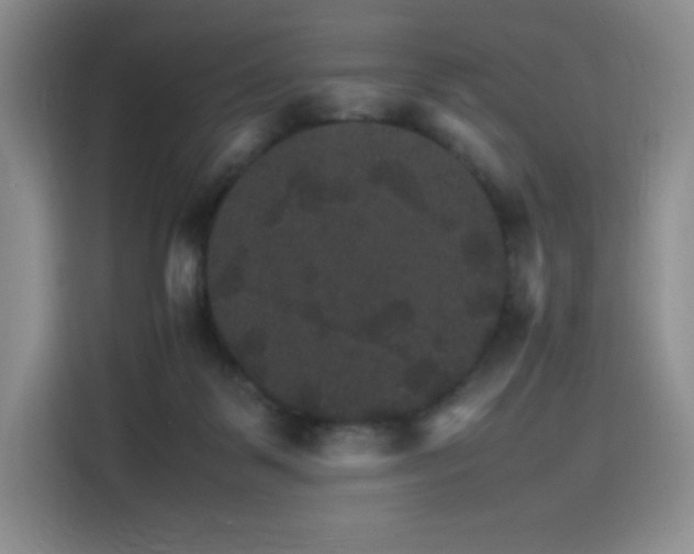 X0000116120123200911231223