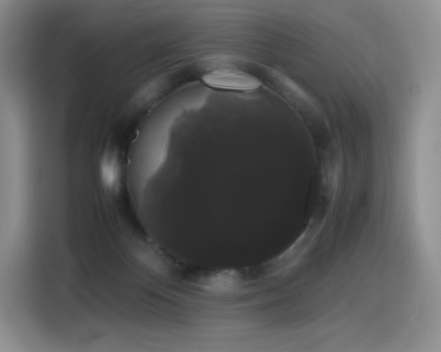 X0000116120124200911231223