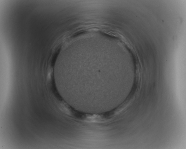 X0000116120125200911231223