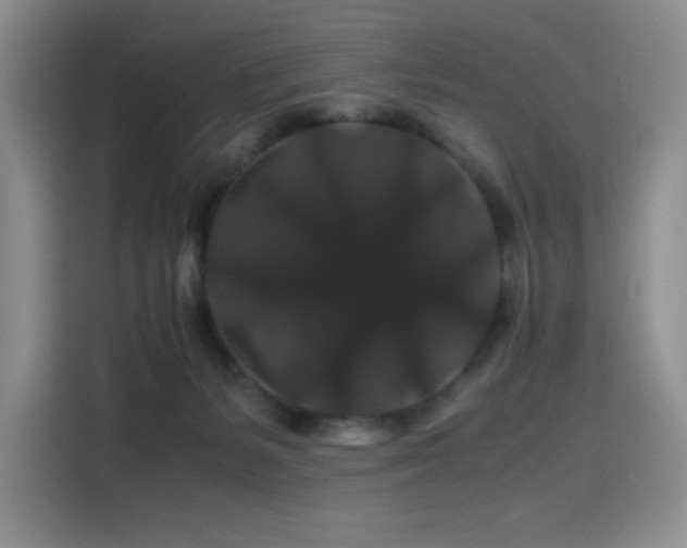 X0000116120127200911231223