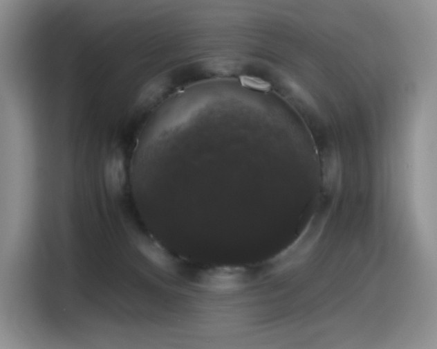 X0000116120128200911231223