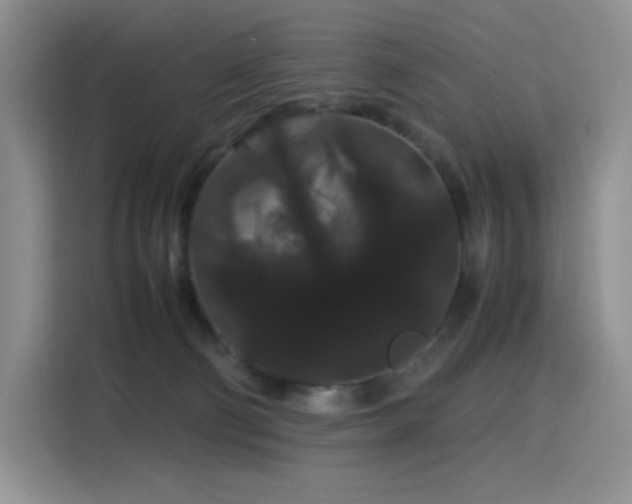 X0000116120130200911231223