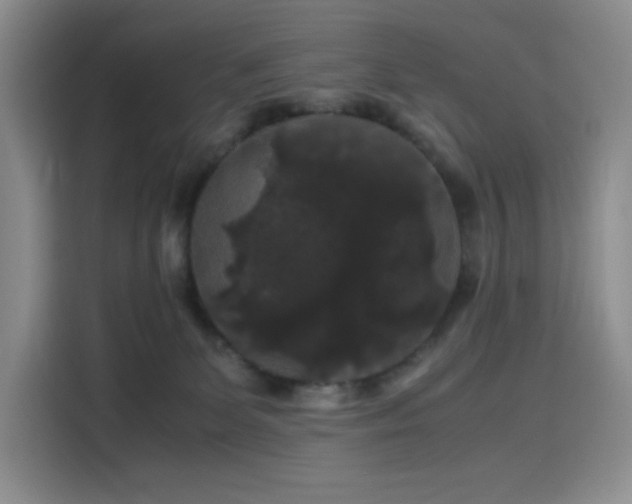 X0000116120131200911231223