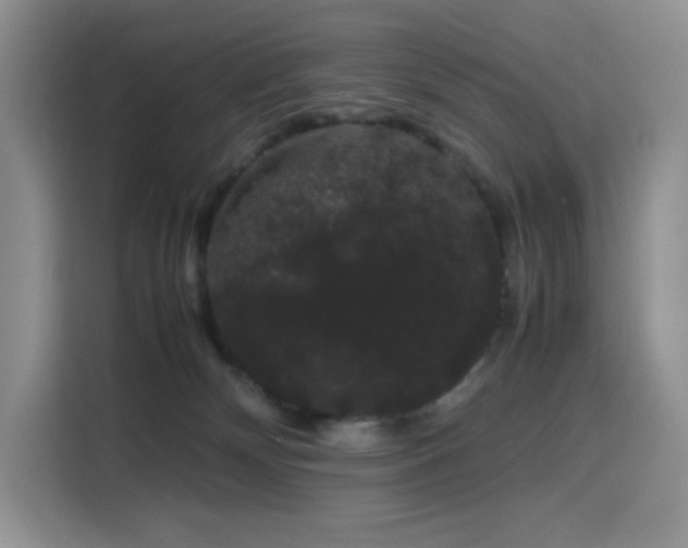 X0000116120132200911231223