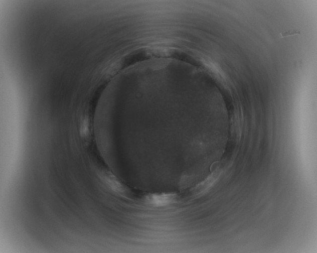 X0000116120134200911231223