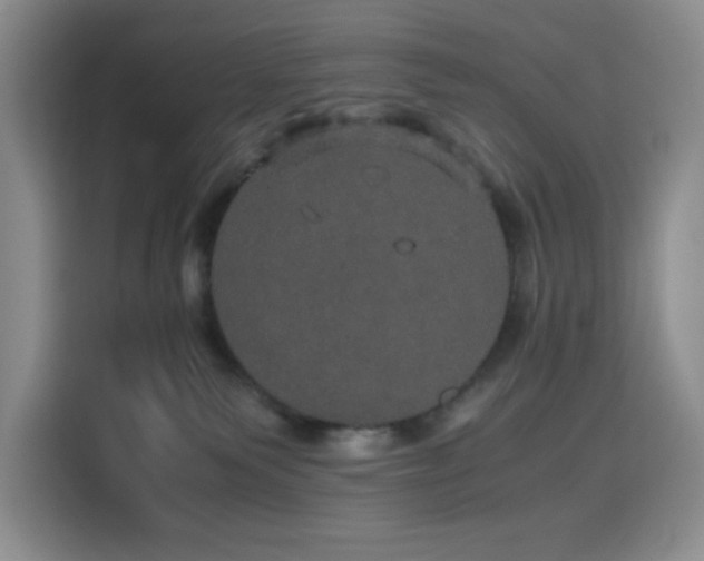 X0000116120135200911231223