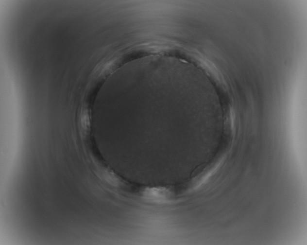 X0000116120137200911231223