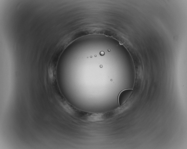 X0000116120138200911231223