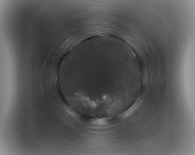 X0000116120140200911231223