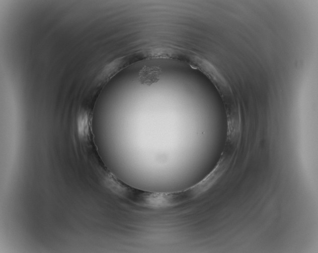 X0000116120142200911231222