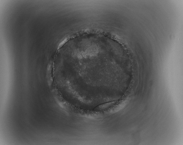 X0000116120144200911231222