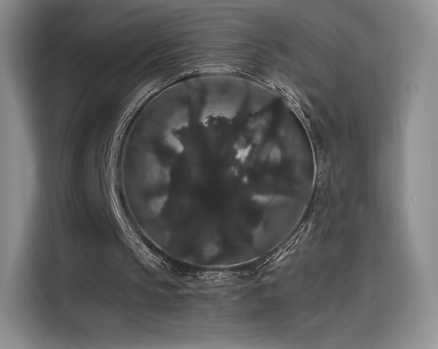 X0000116120145200911231222