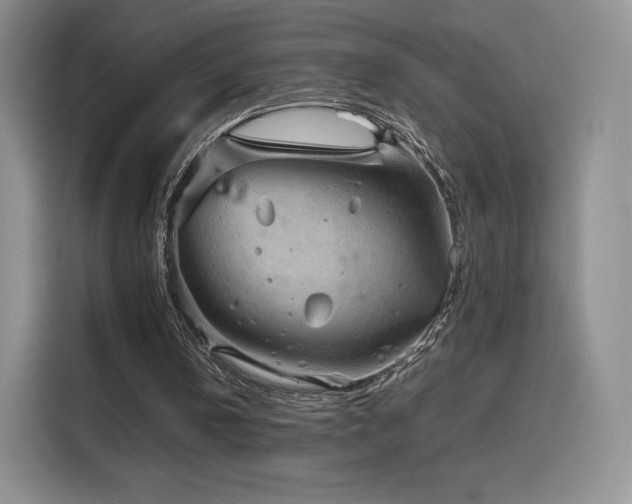 X0000116120146200911231222