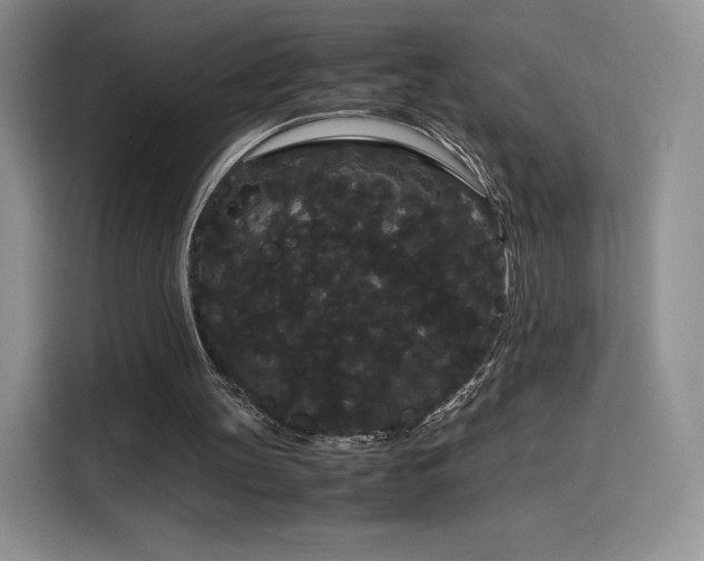 X0000116120147200911231222