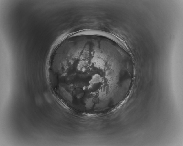 X0000116120149200911231222