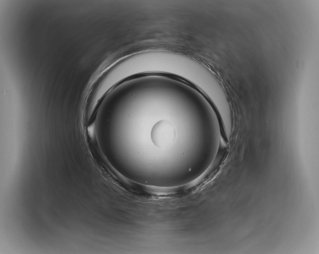 X0000116120150200911231222