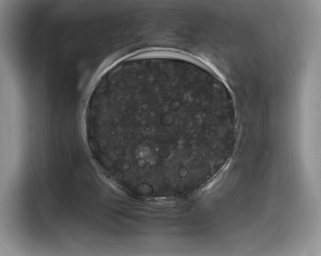 X0000116120151200911231222