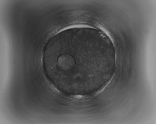 X0000116120153200911231222