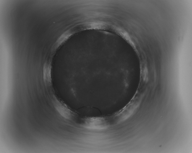 X0000116120154200911231222