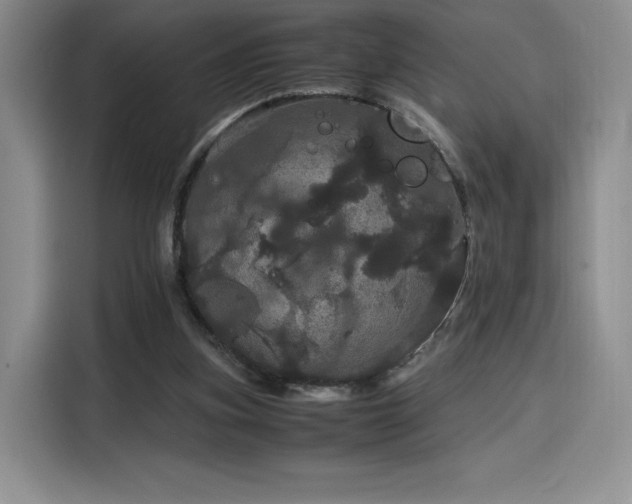 X0000116120155200911231222