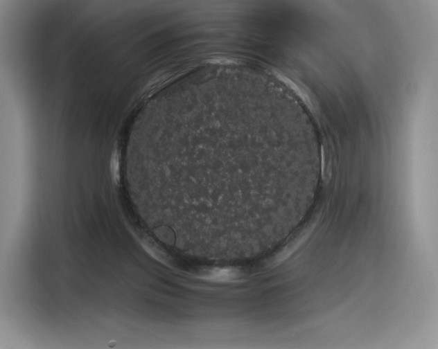 X0000116120157200911231222