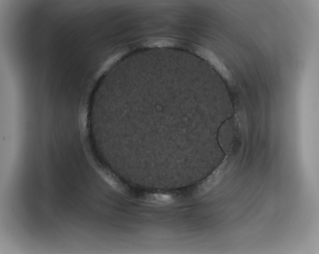 X0000116120159200911231222