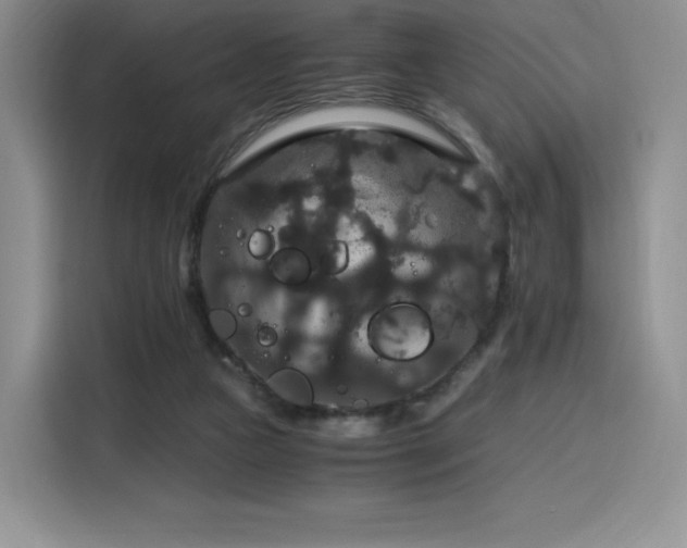 X0000116120161200911231222