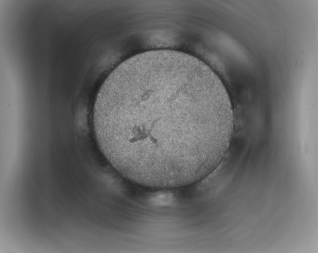 X0000116120162200911231222