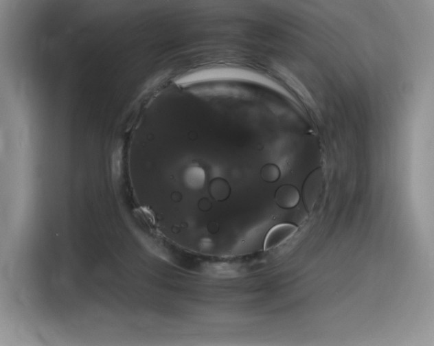 X0000116120163200911231222