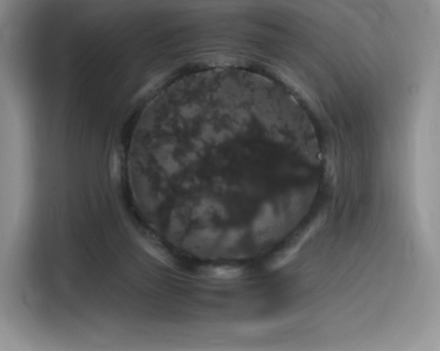 X0000116120165200911231222