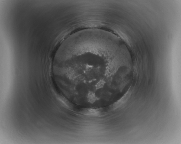 X0000116120166200911231222