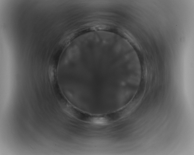 X0000116120169200911231222