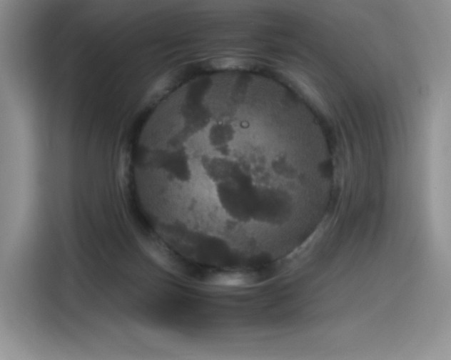 X0000116120171200911231222