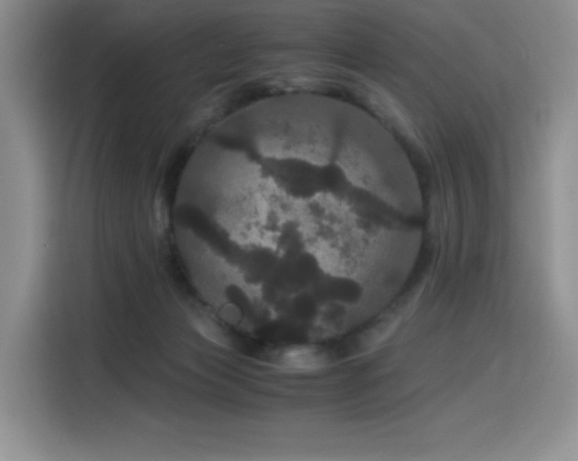 X0000116120173200911231222