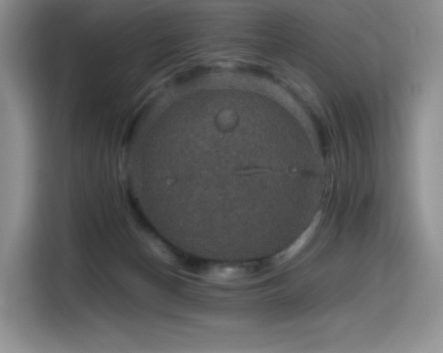 X0000116120174200911231222