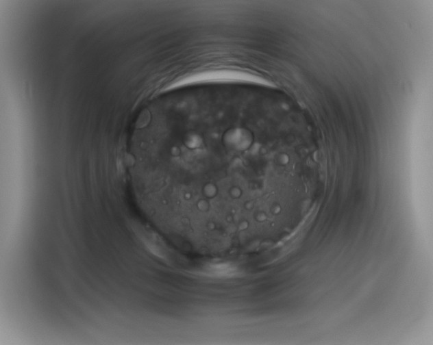 X0000116120175200911231222