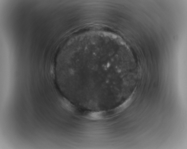 X0000116120178200911231222