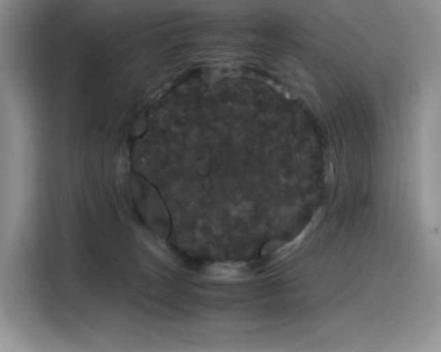 X0000116120179200911231222