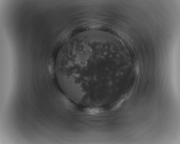 X0000116120181200911231222