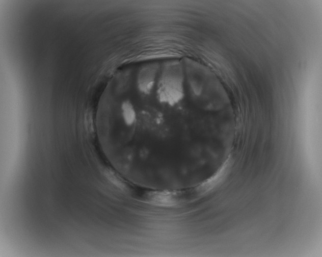 X0000116120182200911231222