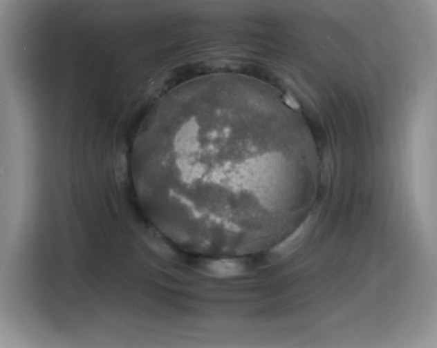 X0000116120183200911231222