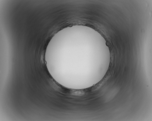 X0000116120185200911231222